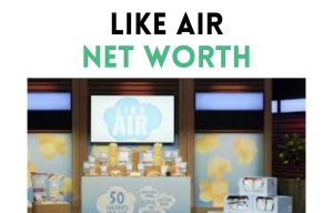 like air net worth shark tank update