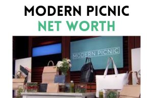 modern picnic net worth shark tank update