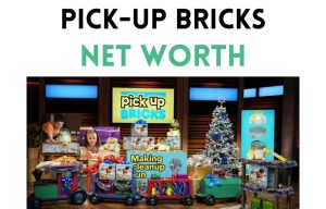 pick up bricks net worth shark tank update