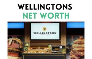 wellingtons net worth shark tank update