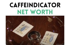 caffeindicator net worth shark tank update