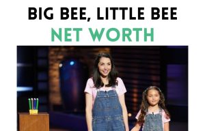 big bee, little bee net worth shark tank update