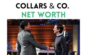 collars & co. net worth shark tank update