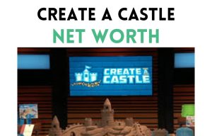 create a castle net worth shark tank update