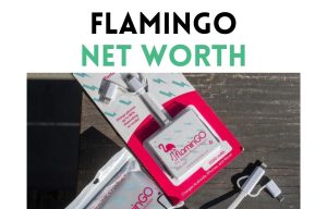 flamingo net worth shark tank update