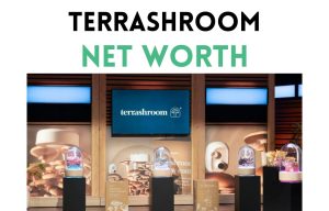 terrashroom net worth shark tank update