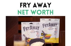 fry away net worth shark tank update