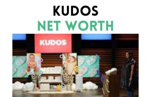 kudos net worth shark tank update