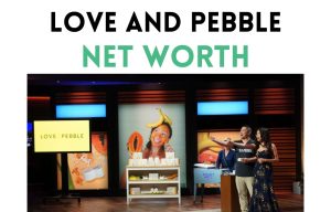 love and pebble net worth shark tank update