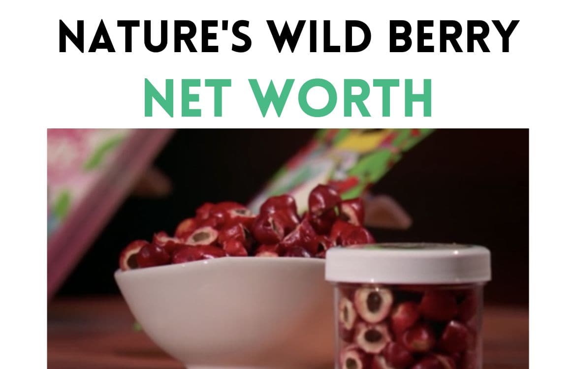 nature's wild berry net worth shark tank update