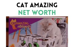 Cat Amazing Net Worth Shark Tank Update 2025  cat amazing net worth shark tank update
