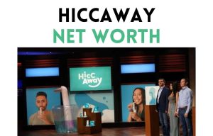 hiccaway net worth shark tank update