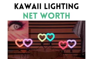 kawaii lighting net worth shark tank update