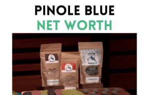 pinole blue net worth shark tank update
