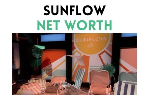 sunflow net worth shark tank update