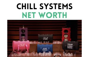 chill systems net worth shark tank update