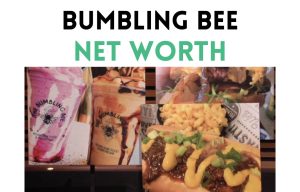 the bumbling bee net worth shark tank update