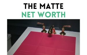 the matte net worth shark tank update
