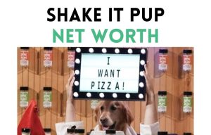 shake it pup net worth shark tank update